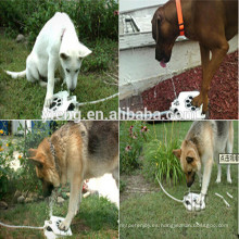 Nueva fuente de agua para mascotas de Amazon importada de China